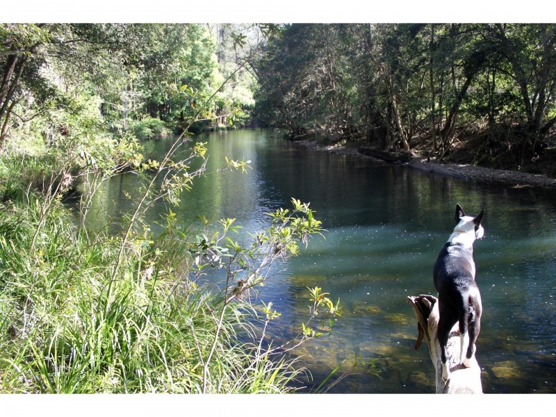 2260 Pappinbarra Road, Pappinbarra NSW 2446