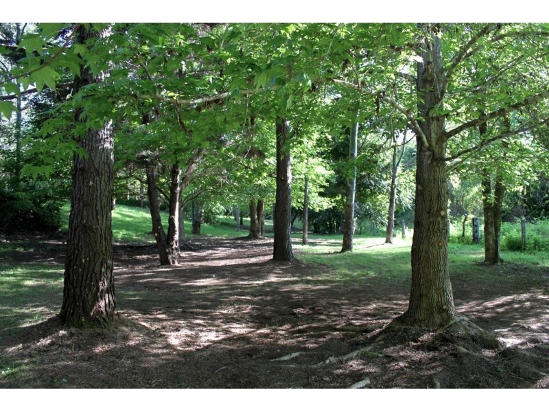 2260 Pappinbarra Road, Pappinbarra NSW 2446