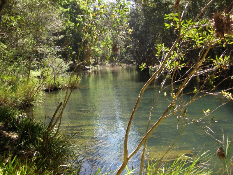 2260 Pappinbarra Road, Pappinbarra NSW 2446