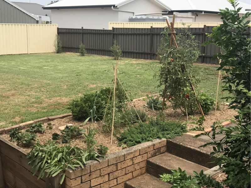 143 Segenhoe Street, Aberdeen NSW 2336