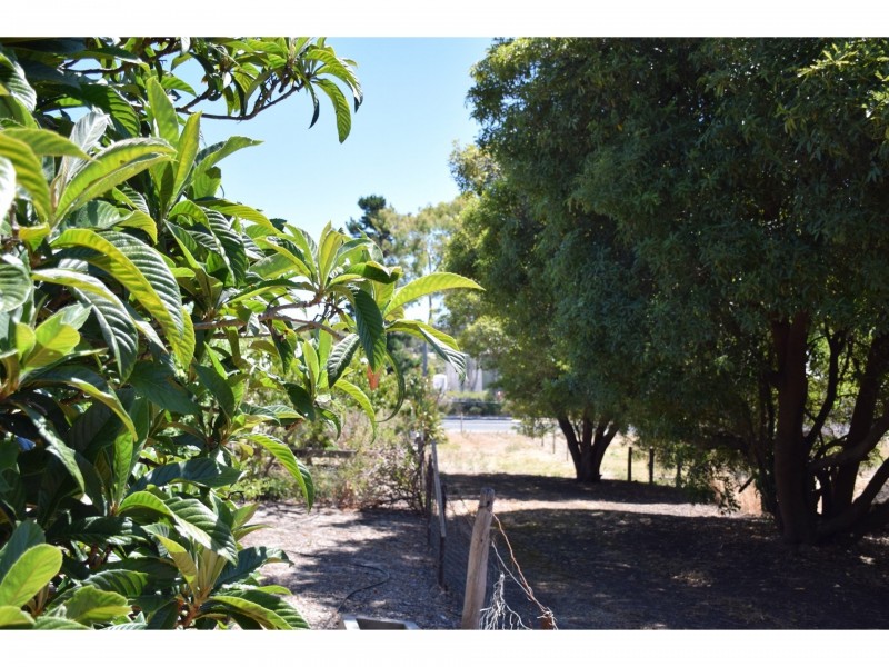 18 Albany Highway, Mount Barker WA 6324