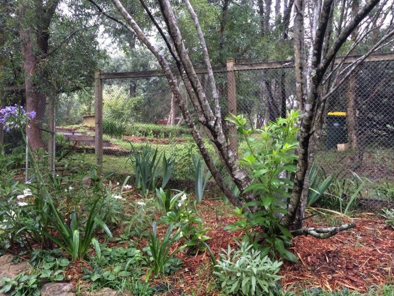 49-51 Rawson parade, Leura NSW 2780