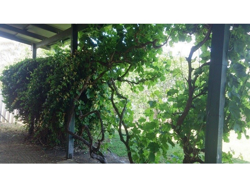 52 Raglan Street, Pingelly WA 6308