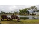 505 Allambie Lane, Gumlow QLD 4815