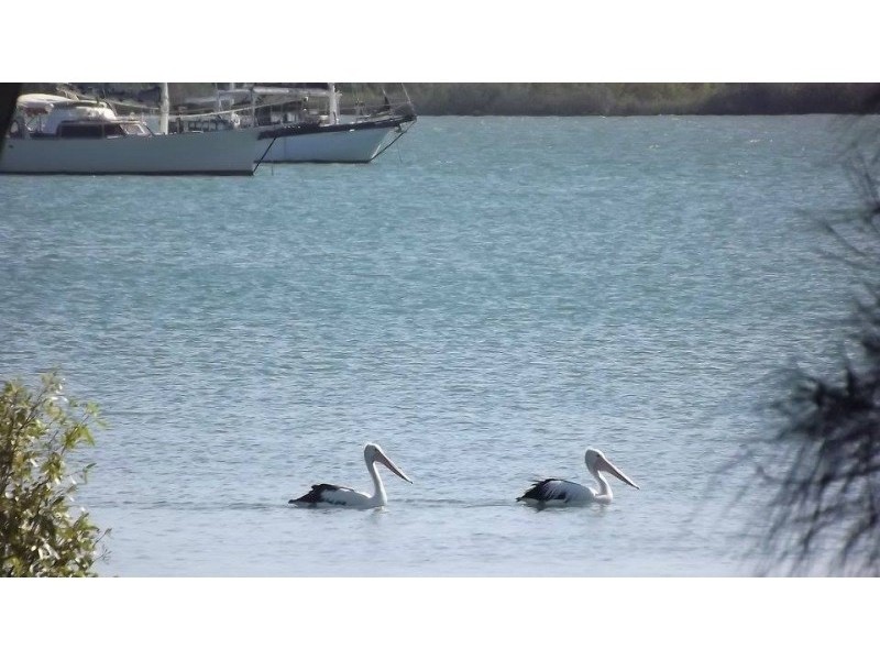 82 Riverview Drive, Burrum Heads QLD 4659