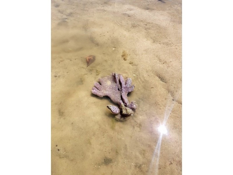 82 Riverview Drive, Burrum Heads QLD 4659