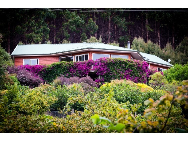 479 Nettlefolds Road, Winkleigh TAS 7275