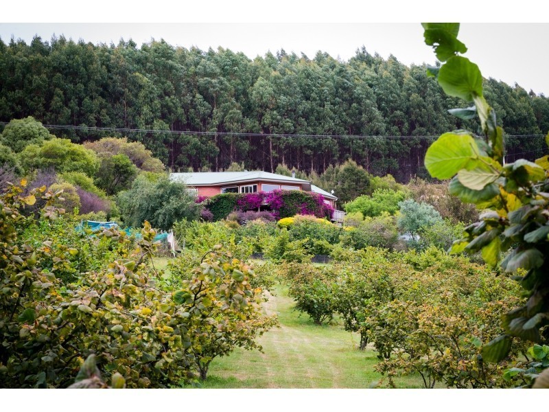 479 Nettlefolds Road, Winkleigh TAS 7275