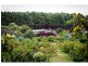 479 Nettlefolds Road, Winkleigh TAS 7275