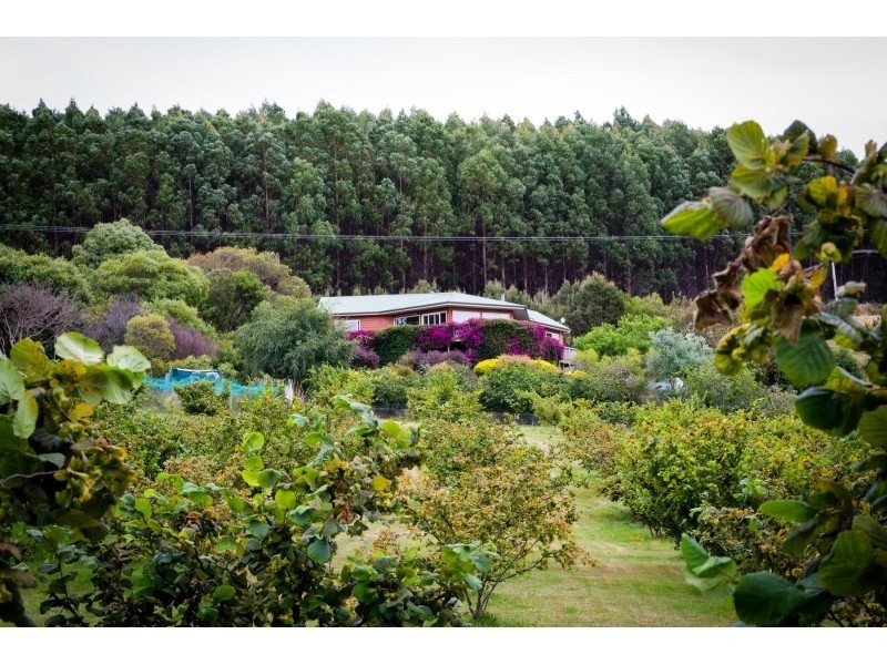 479 Nettlefolds Road, Winkleigh TAS 7275