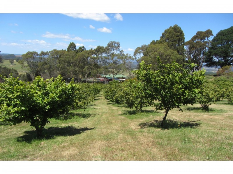 479 Nettlefolds Road, Winkleigh TAS 7275