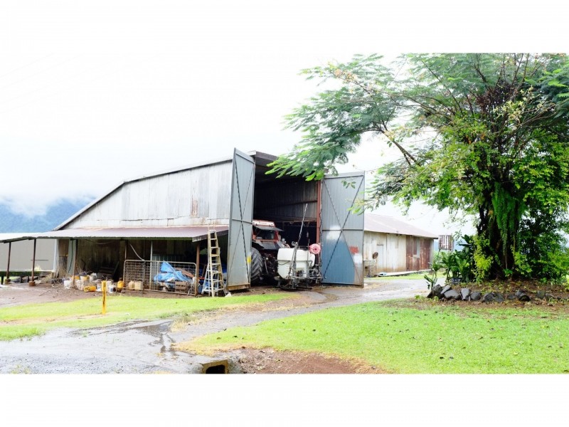 26 Munro Road, Bellenden Ker QLD 4871