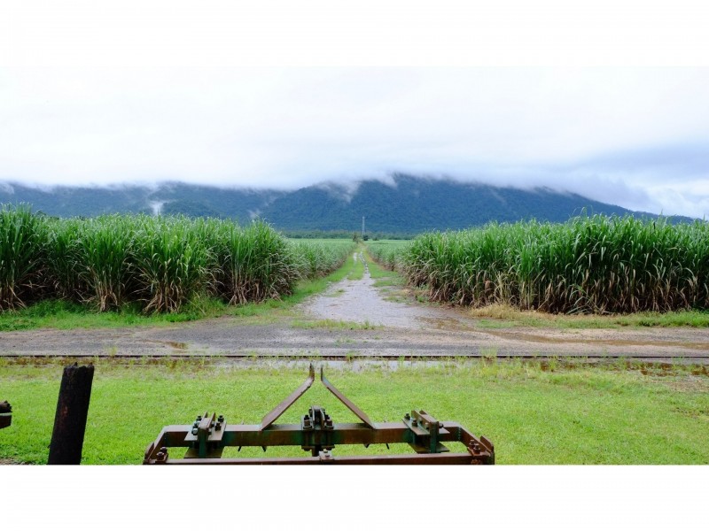 26 Munro Road, Bellenden Ker QLD 4871