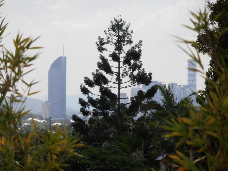 22 Noble Street, Camp Hill QLD 4152