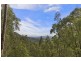 302 Moonabung Road, Vacy NSW 2421