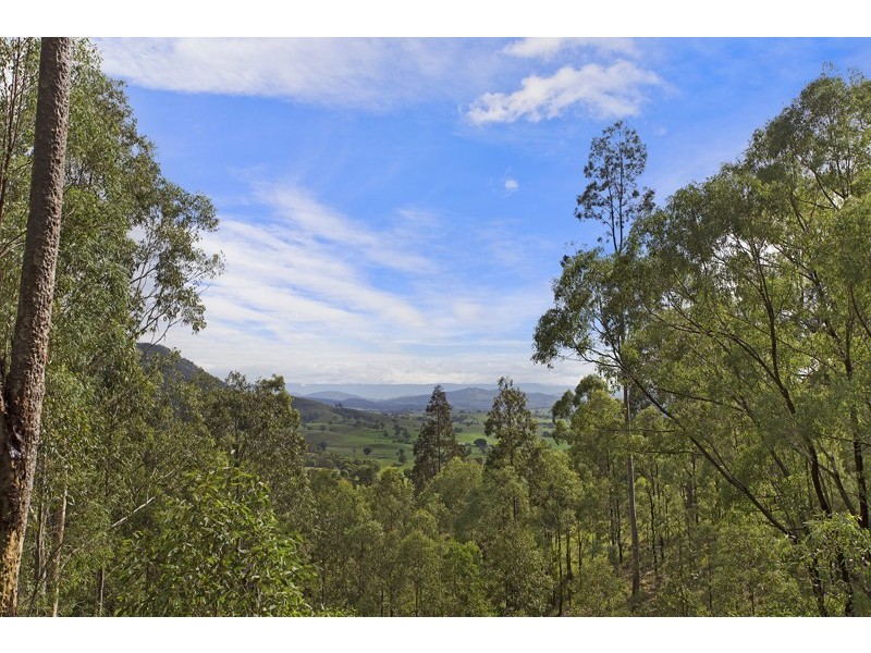302 Moonabung Road, Vacy NSW 2421