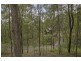 302 Moonabung Road, Vacy NSW 2421