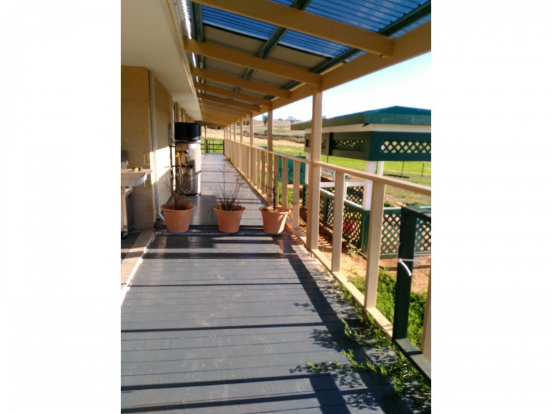 16 JACAMAR DRIVE, Northam WA 6401