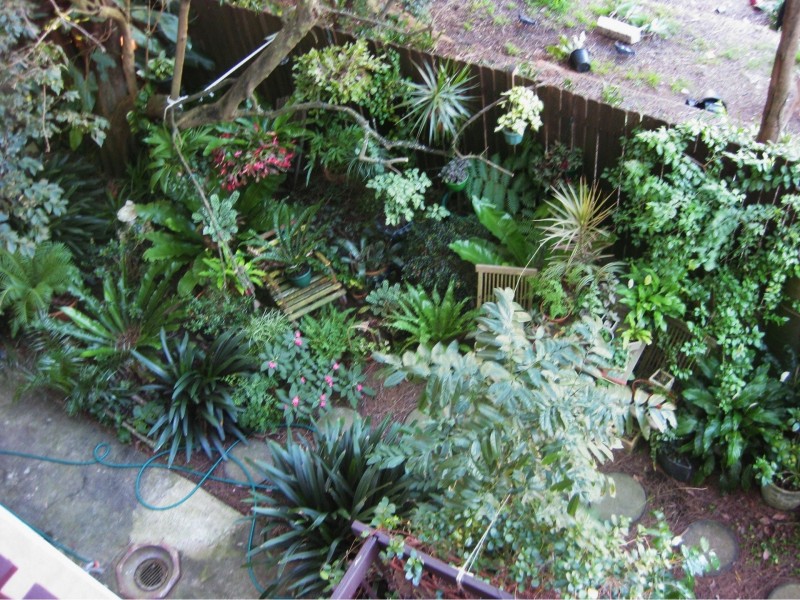 2/43 Birriga Road, Bellevue Hill NSW 2023