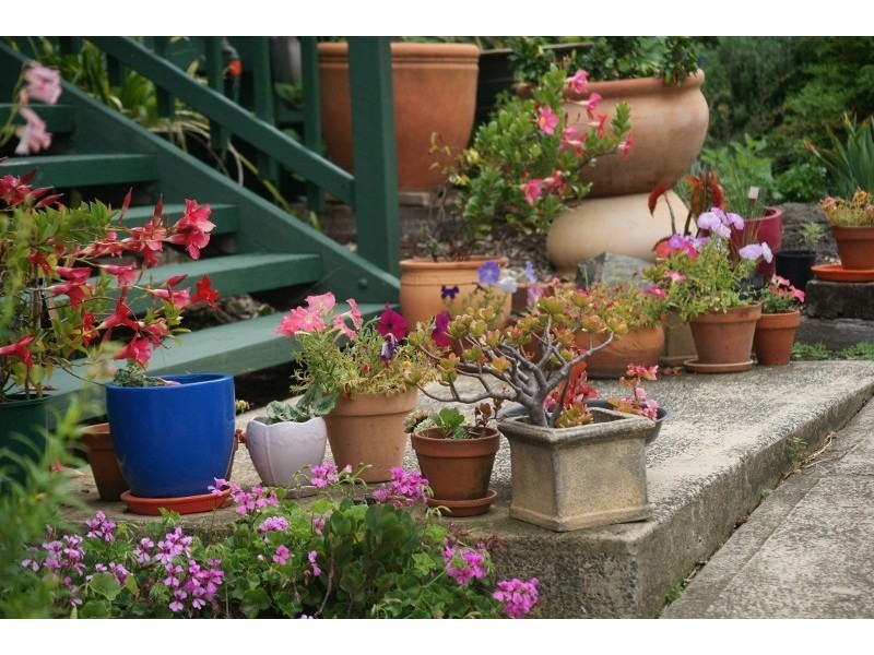 36 Corunna Road, Narooma NSW 2546