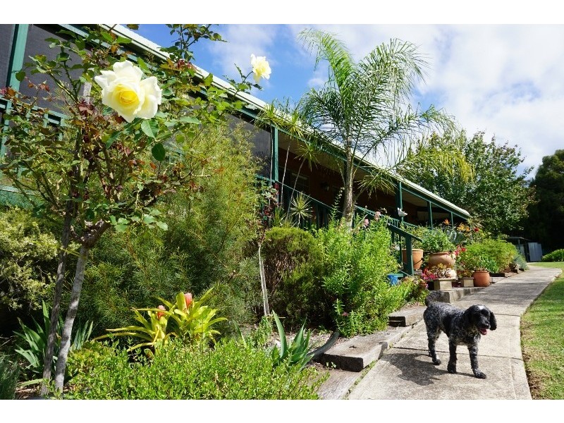 36 Corunna Road, Narooma NSW 2546