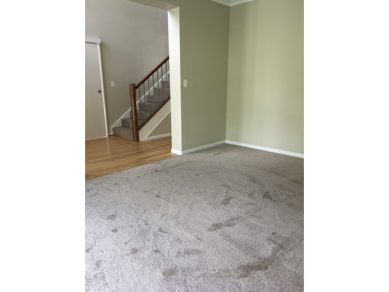 1 Eliza Close, The Gap QLD 4061