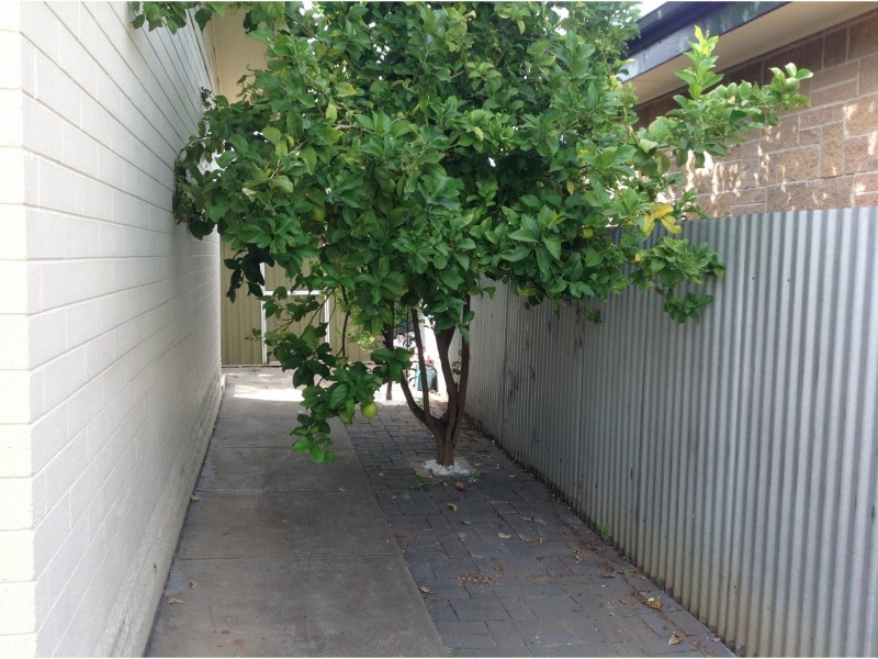 3/6 LINCOLN STREET, Woodville North SA 5012