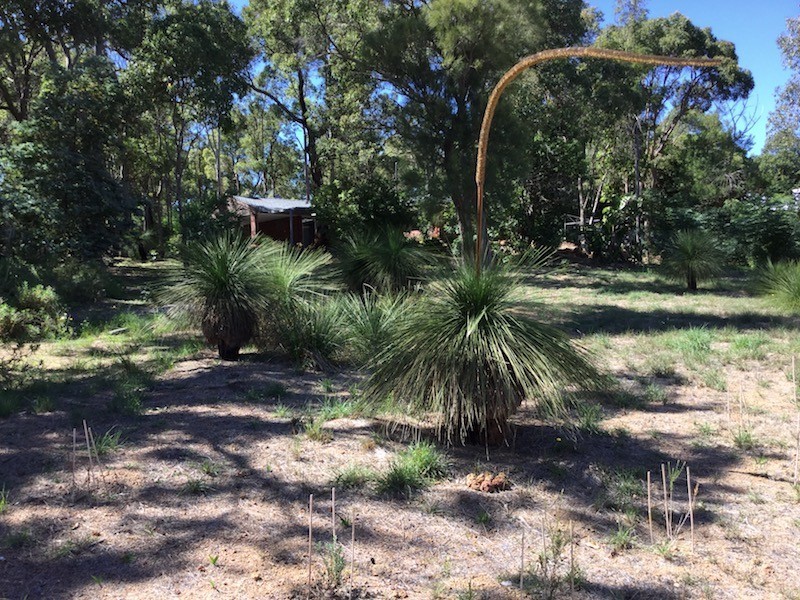 530 Robinson Road, Mahogany Creek WA 6072