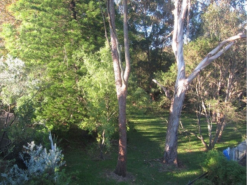 20 Milton Place, Frenchs Forest NSW 2086