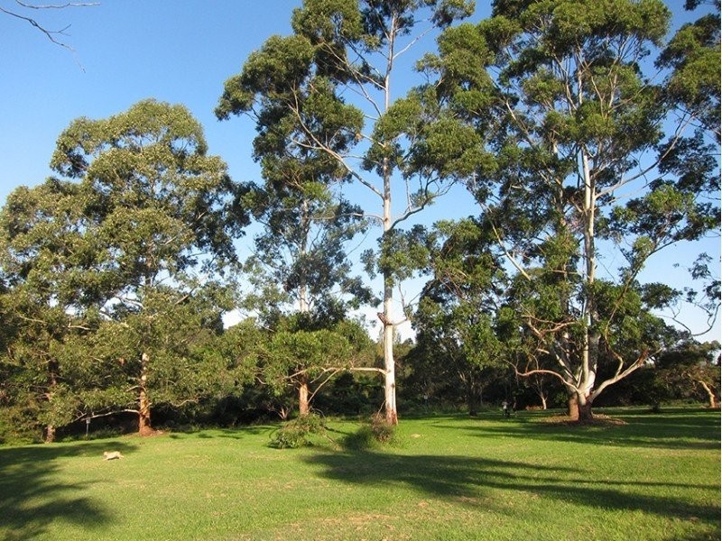 20 Milton Place, Frenchs Forest NSW 2086