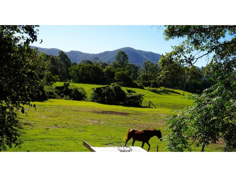 12 MANGIFERA CLOSE, Wights Mountain QLD 4520