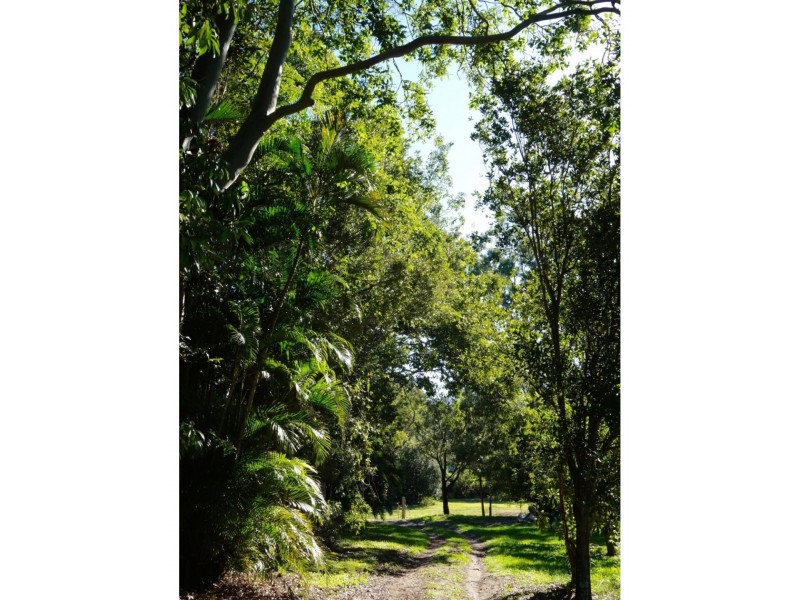 12 MANGIFERA CLOSE, Wights Mountain QLD 4520