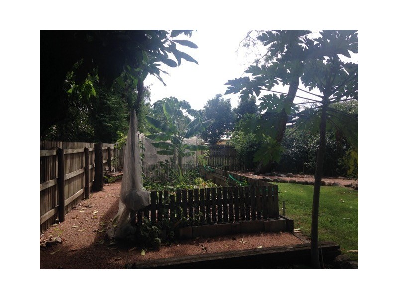 42 Albany Road, Hyde Park QLD 4812