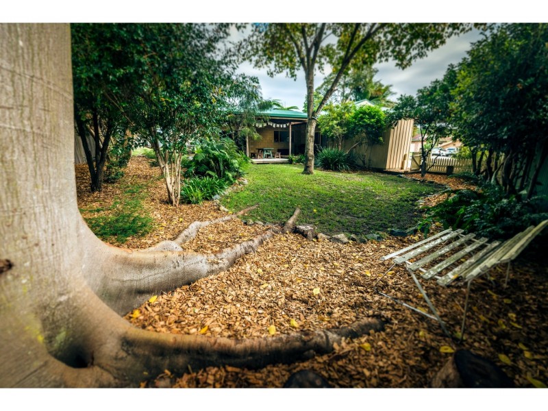 8 Raymond Close, Bellingen NSW 2454