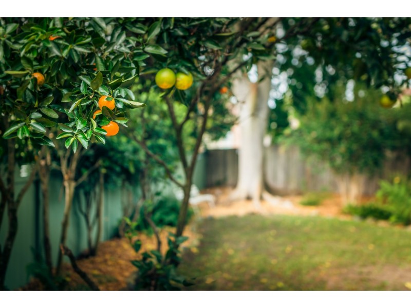 8 Raymond Close, Bellingen NSW 2454