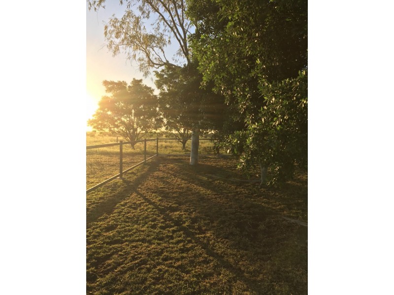 Capella QLD 4723