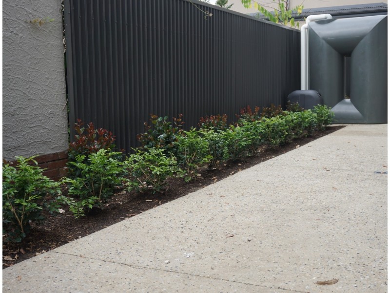 10 Winter Terrace, Prospect SA 5082