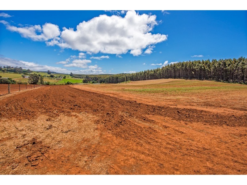 41 Strathbogie Road, Wilmot TAS 7310