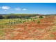 41 Strathbogie Road, Wilmot TAS 7310