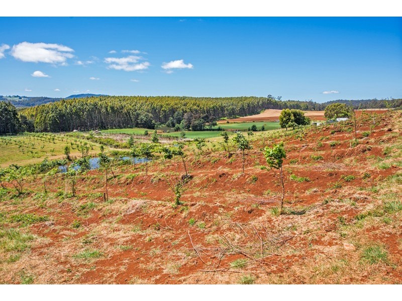 41 Strathbogie Road, Wilmot TAS 7310