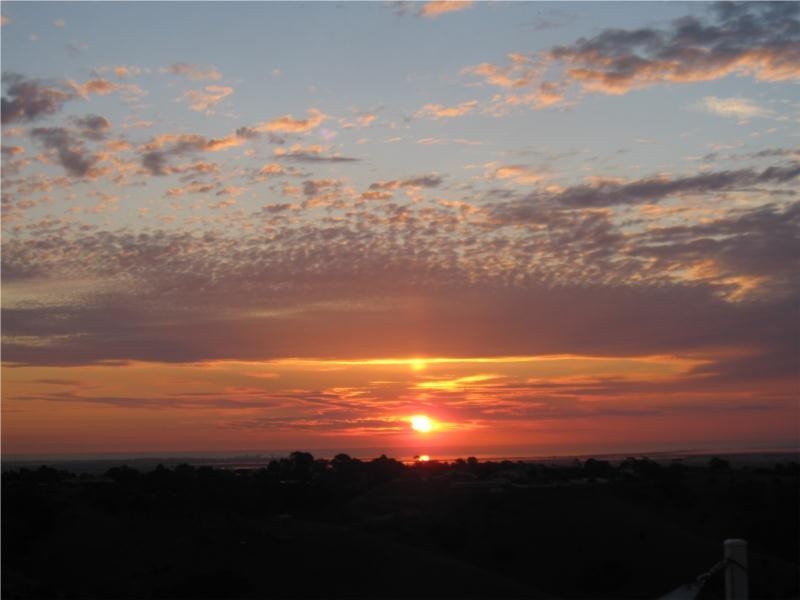 16 Panama Grove, Greenwith SA 5125