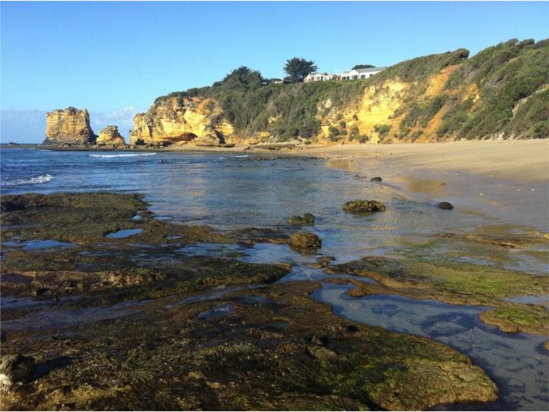 5A Philip St, Aireys Inlet VIC 3231