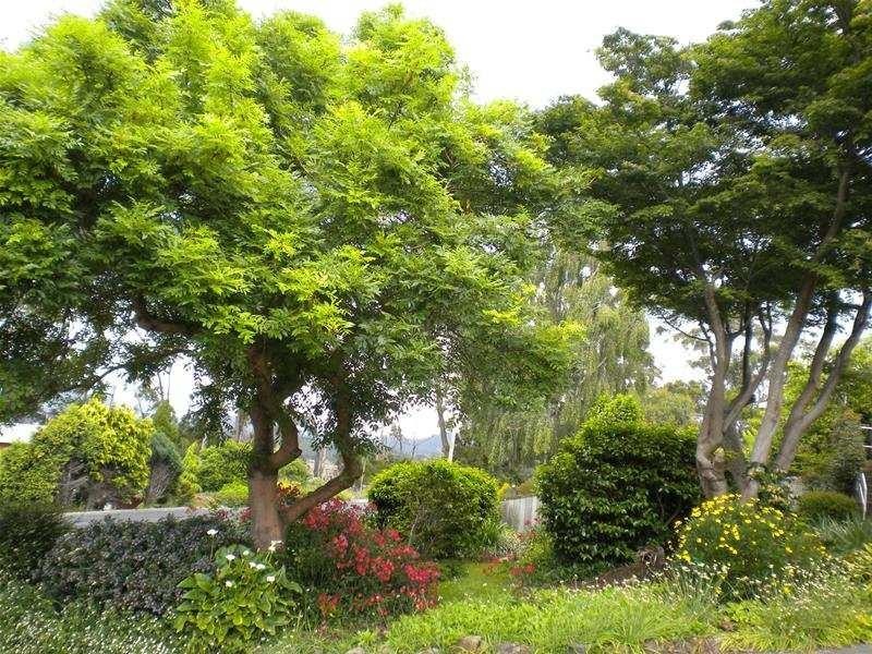 109 River Road, Ambleside TAS 7310