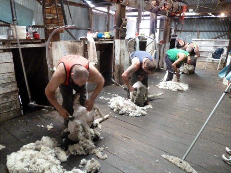 2386 Bowelling-Duranillin Road, Darkan WA 6392