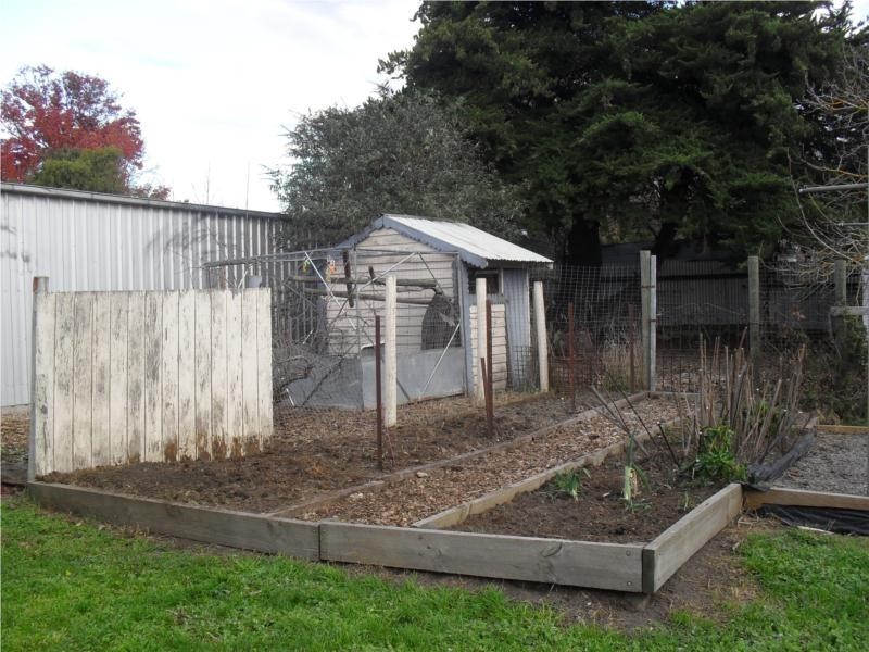 19 Warburton Street, Beaufort VIC 3373