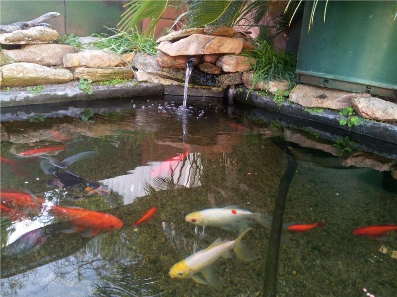 8 Oderna Street, Falcon WA 6210