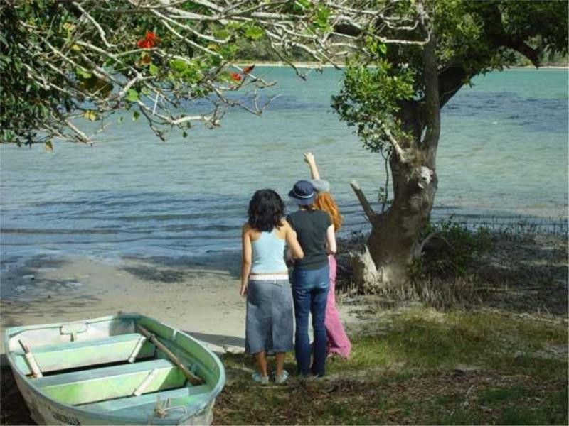 22 Main Street, Wooli NSW 2462