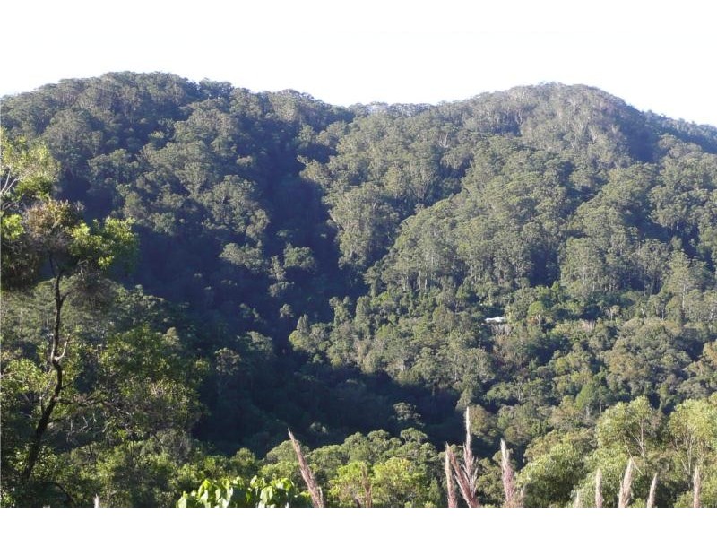 Lot 1 Motts Road, Upper Main Arm NSW 2482
