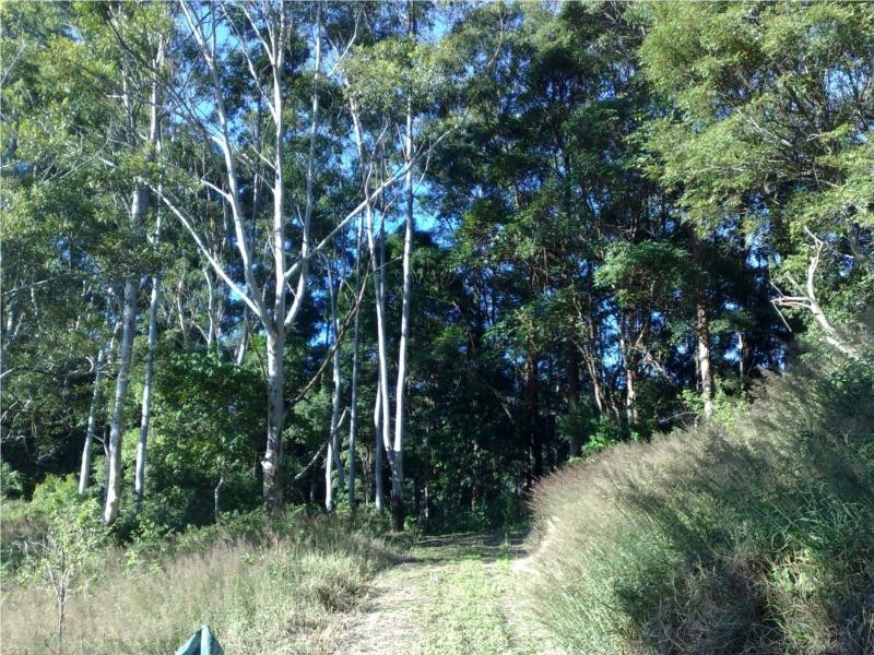 Lot 1 Motts Road, Upper Main Arm NSW 2482