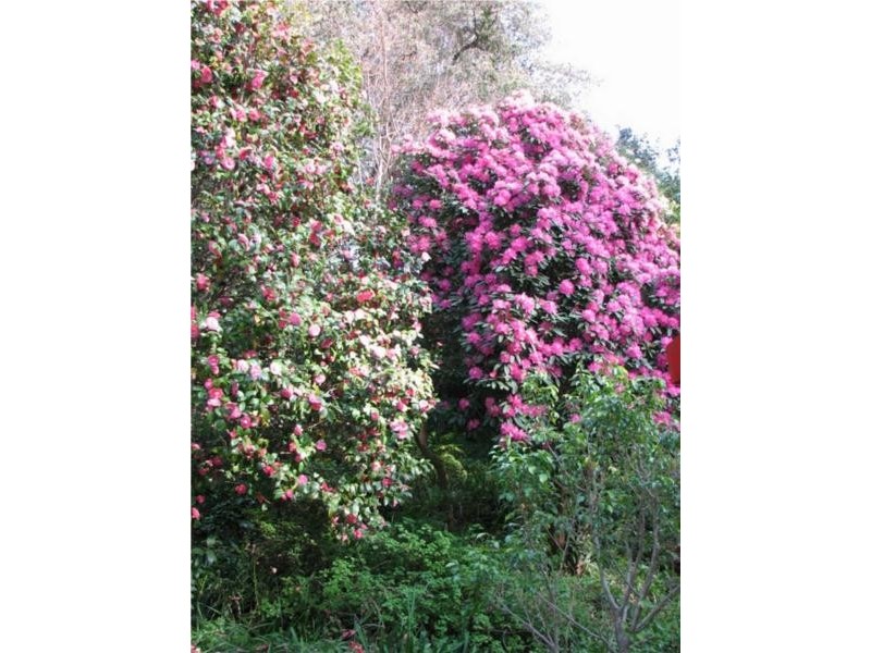 66 Finlay Road, Turramurra NSW 2074